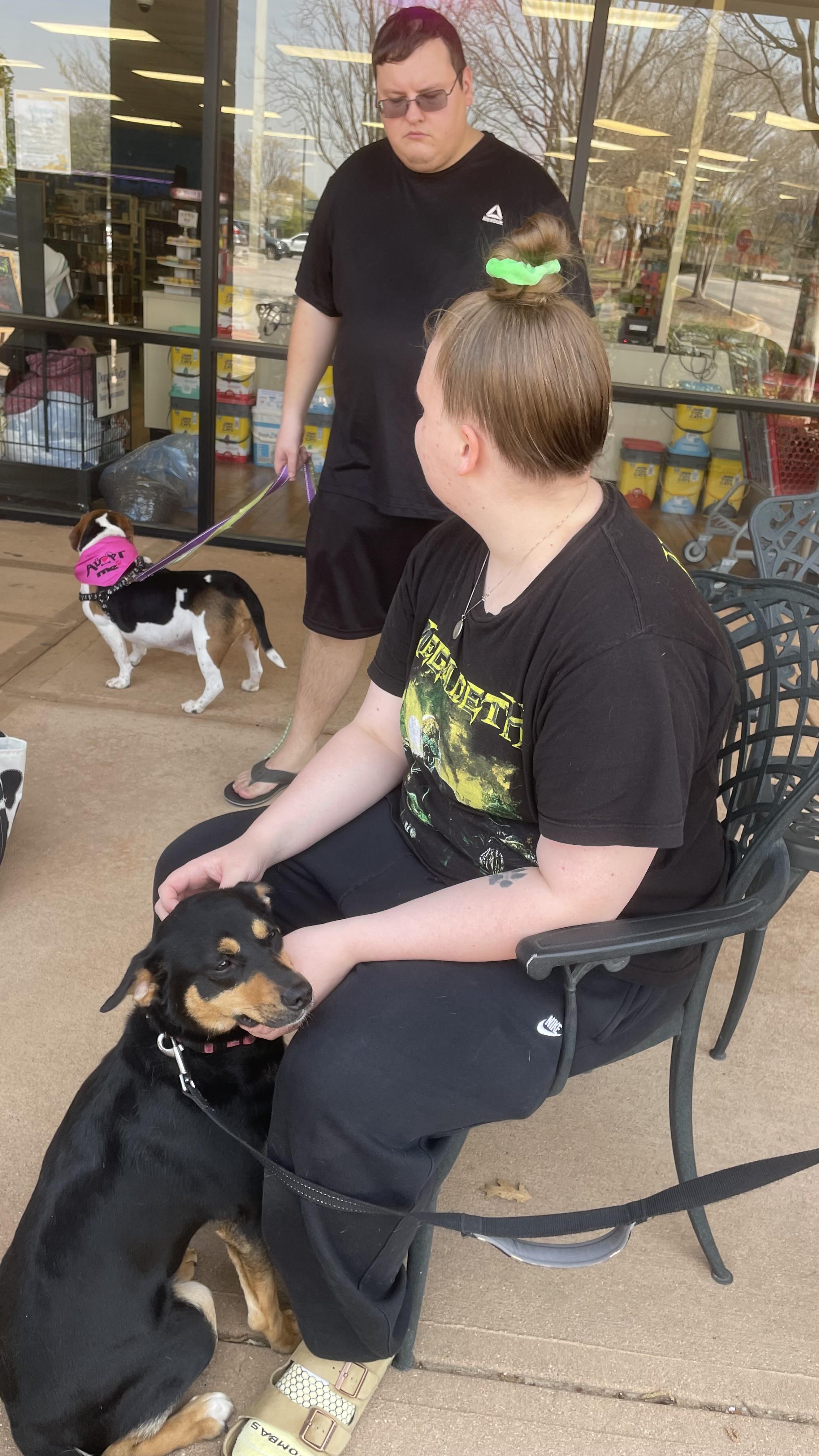 Luna, a ADOPTABLE mixed breed in Cary, NC image 4/6