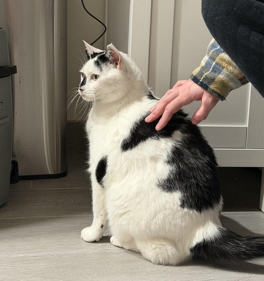 Samantha thumbnail 3