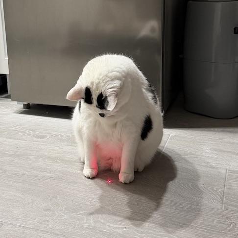 Samantha thumbnail 4