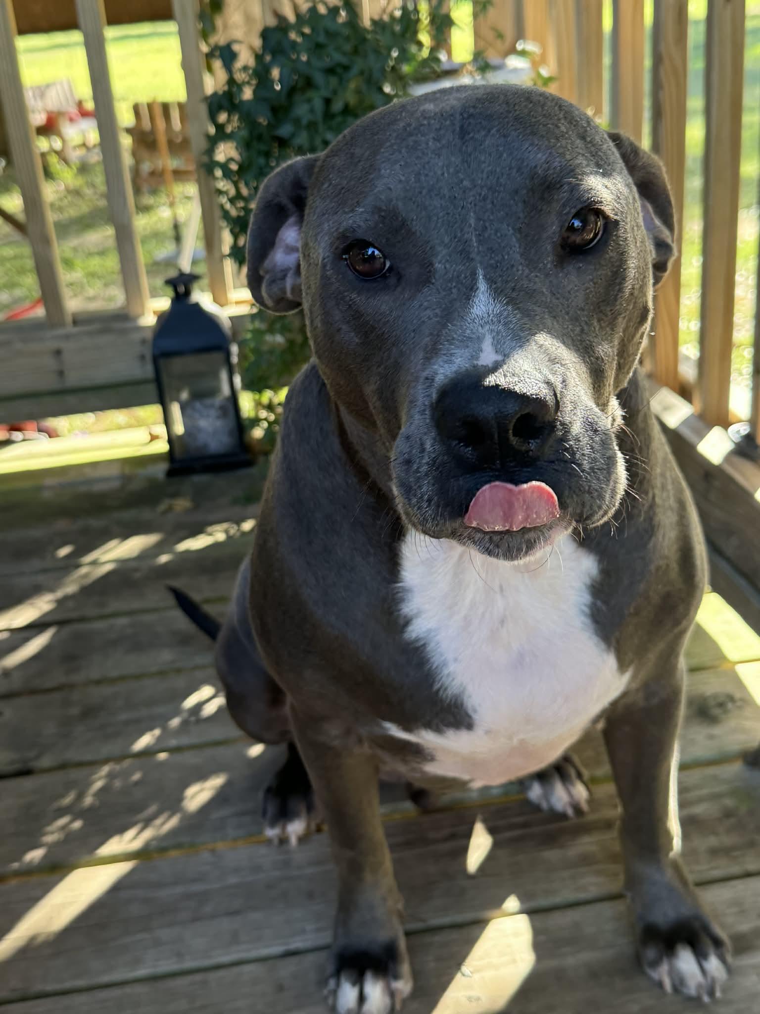 Angelo : Big heart. Bigger smile