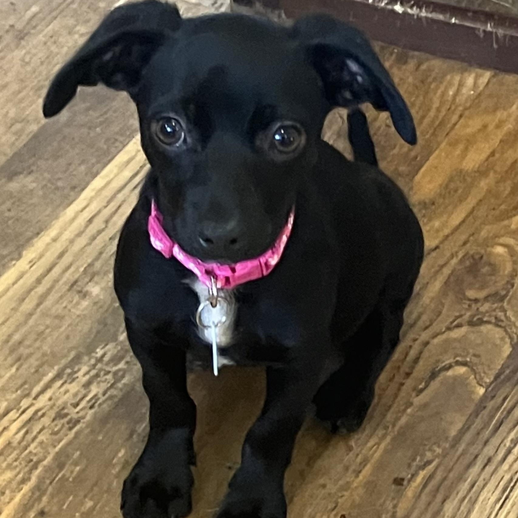 Tallulah