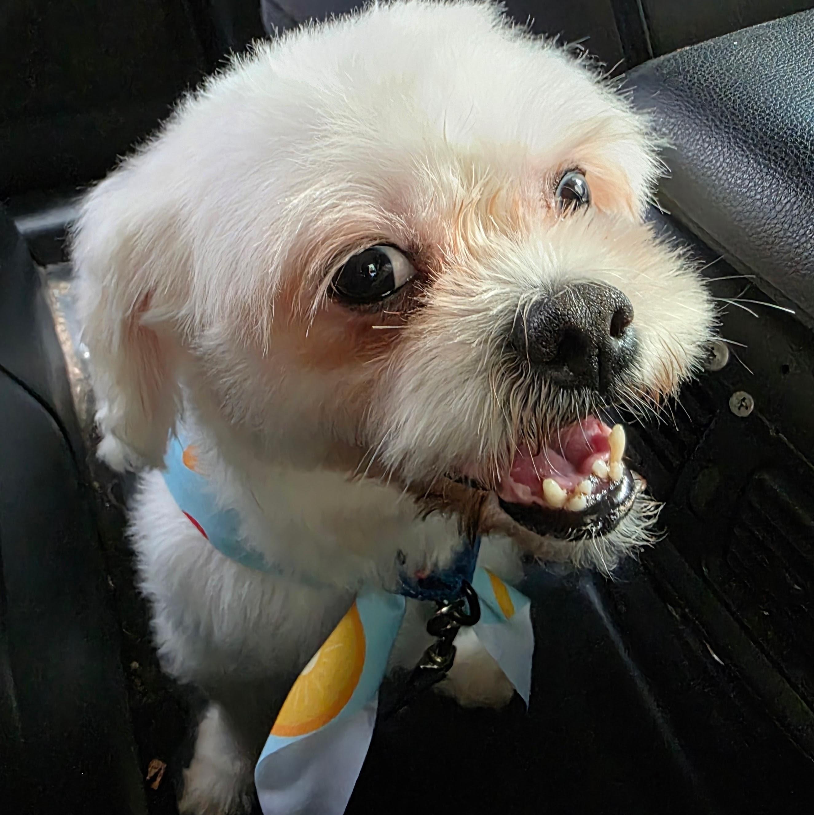 Charlie