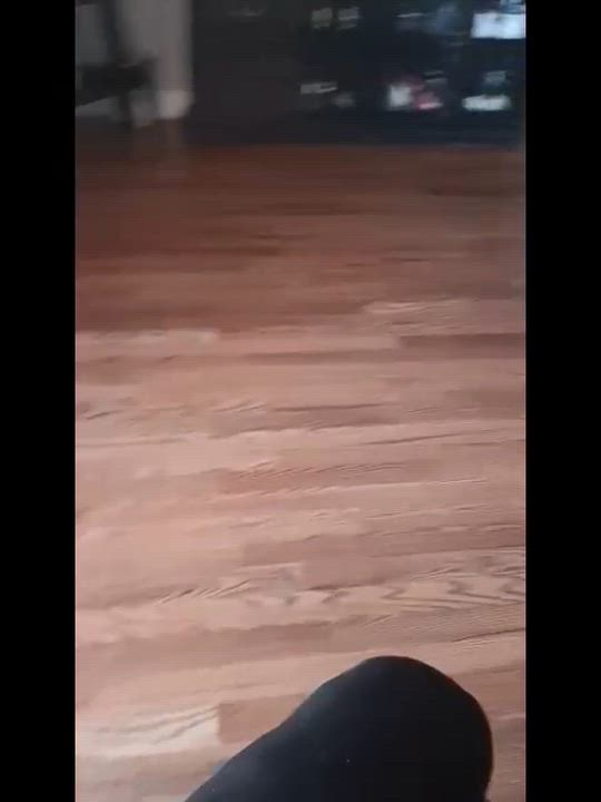 Enlarge Milo, a Adoptable Pit Bull Terrier in New Orleans, LA video 5/5