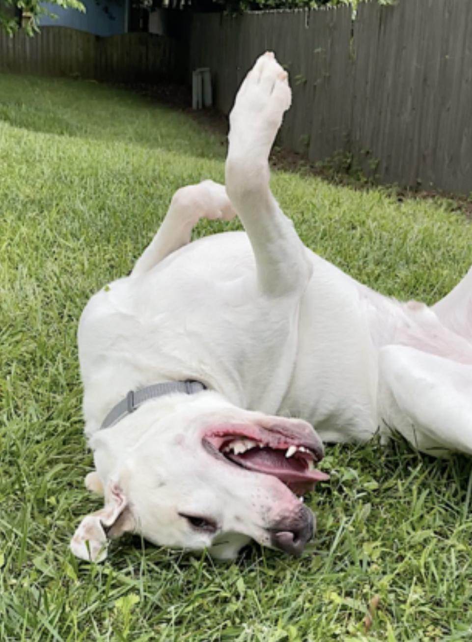 Bucky photo 5