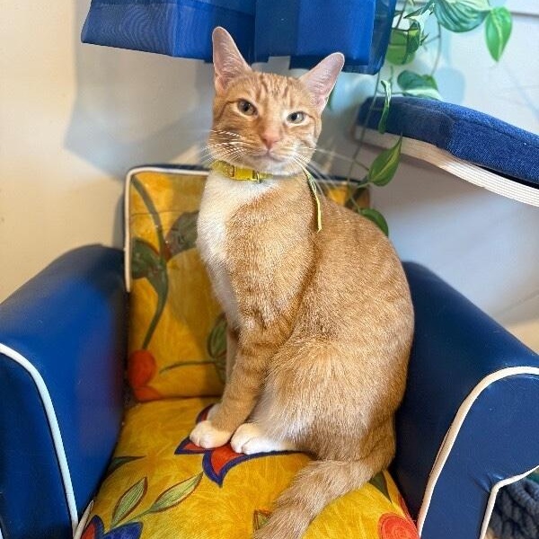 Nico Hernandez — thumbnail 5