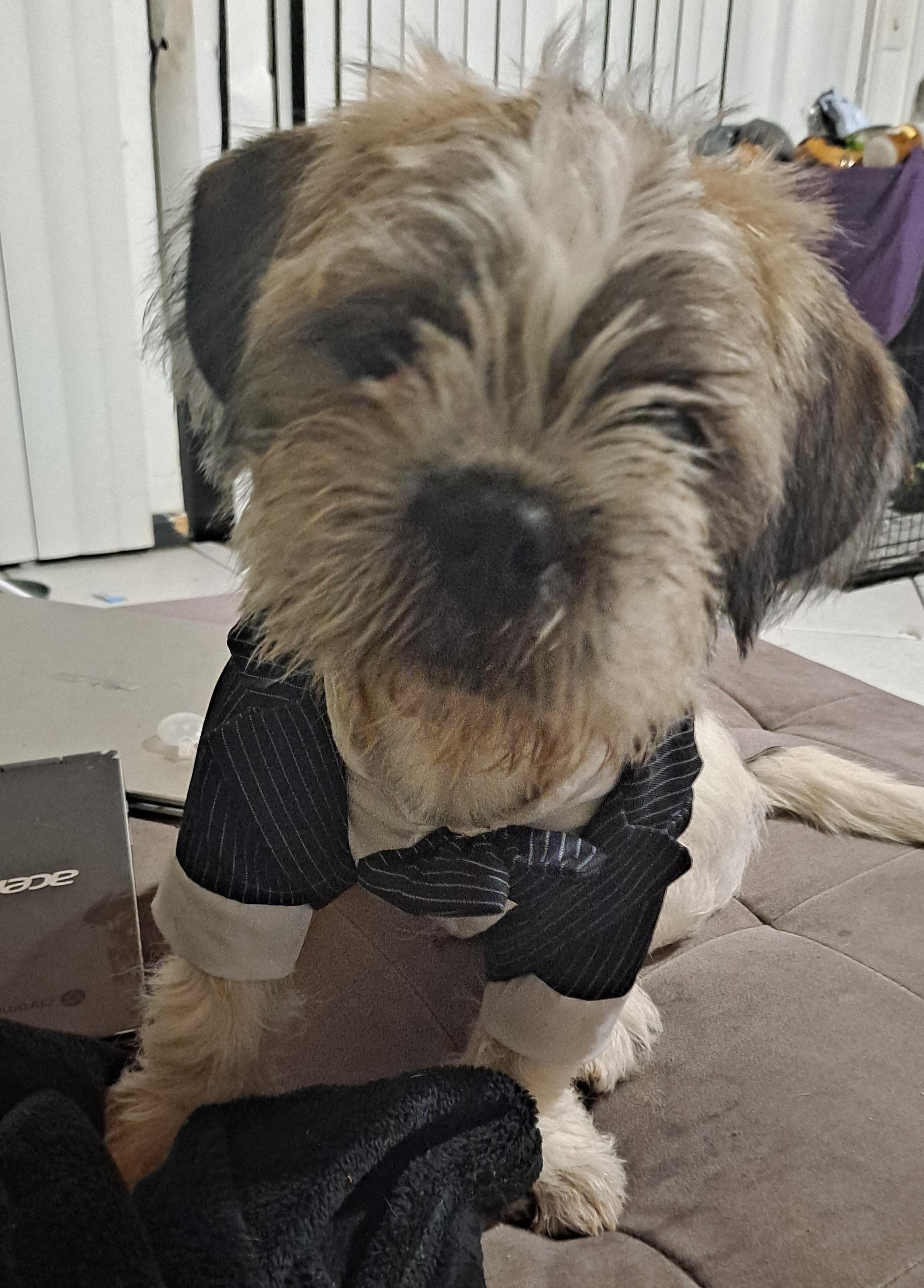 Benjamin The Brave Aka thumbnail 3