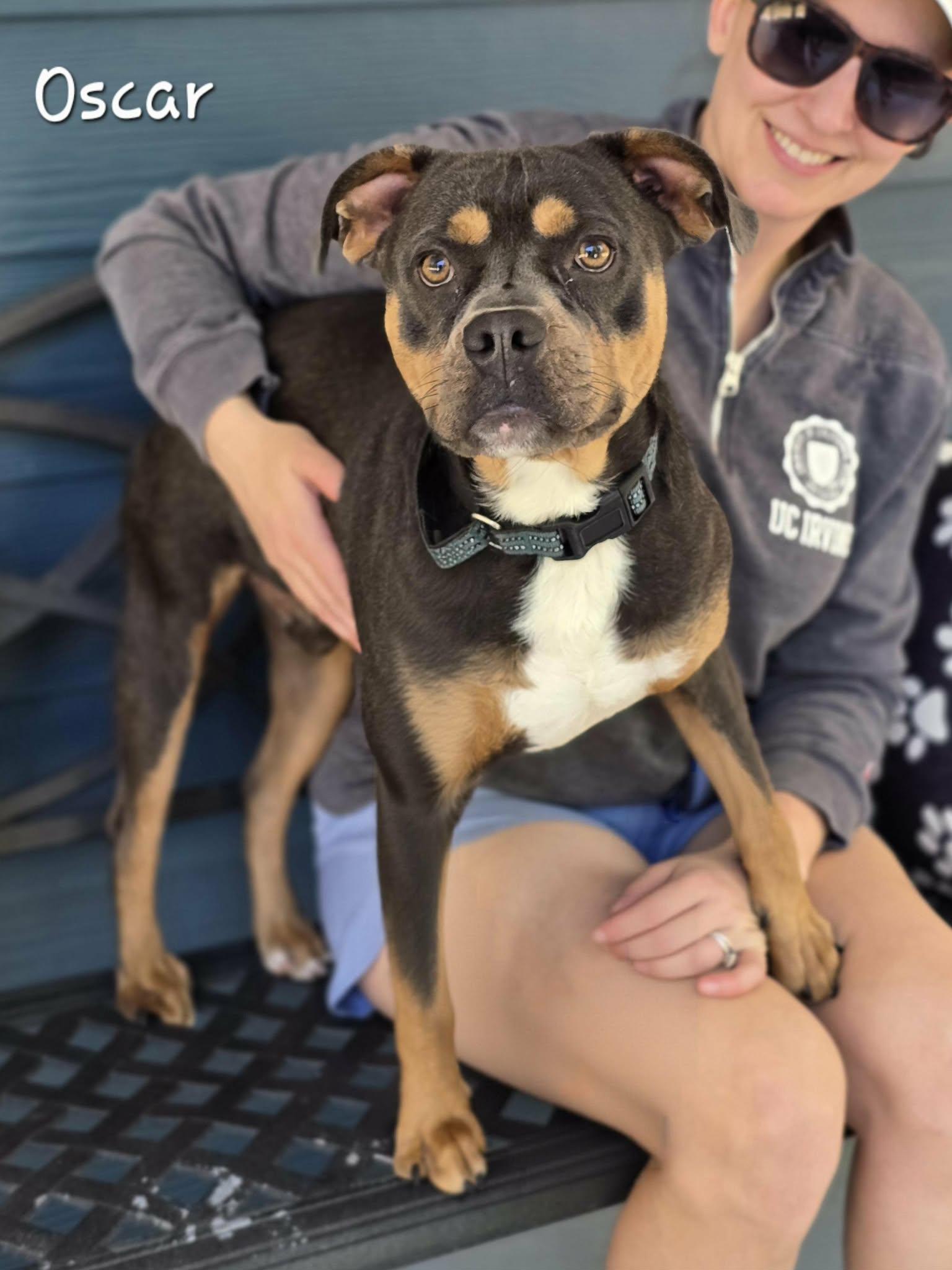 Enlarge Oscar, a Adoptable mixed breed in Bishop, GA image 4/6