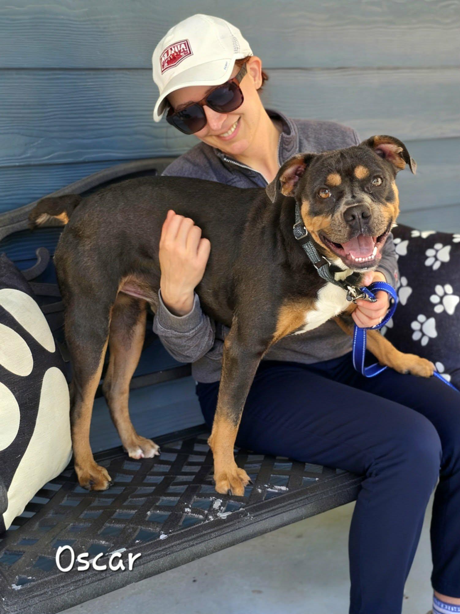 Enlarge Oscar, a Adoptable mixed breed in Bishop, GA image 3/6