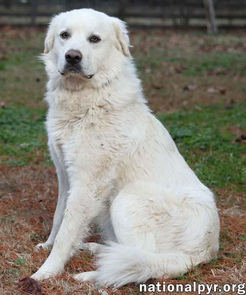 Wyatt In Tn  thumbnail 3