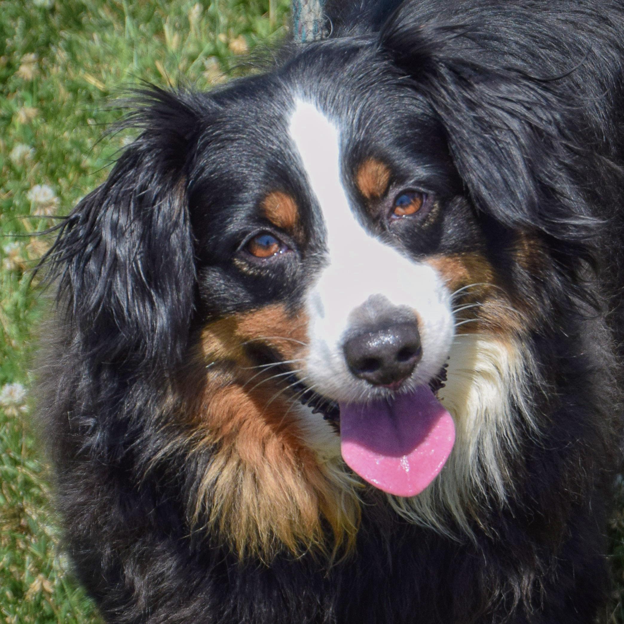 Winnie