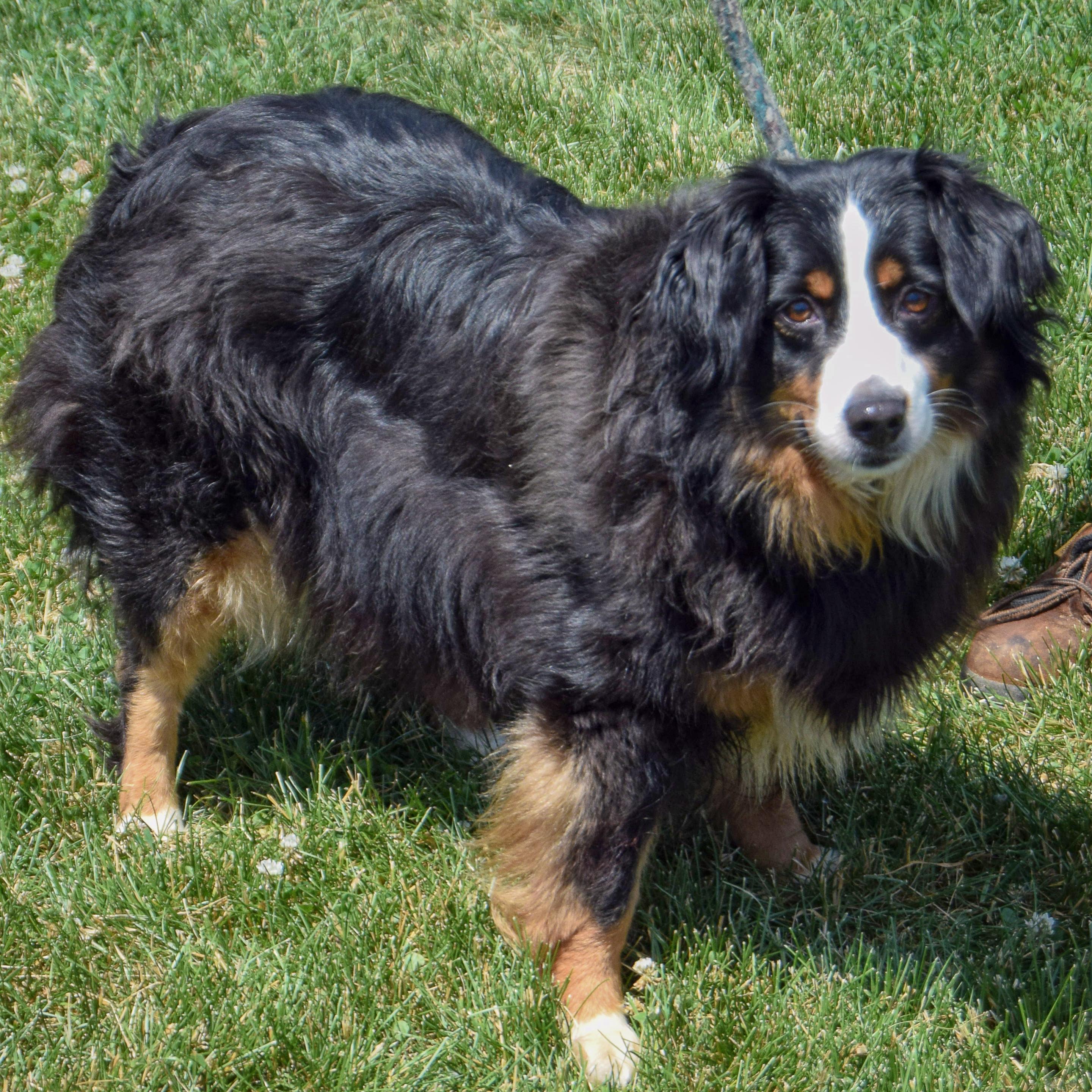 Winnie