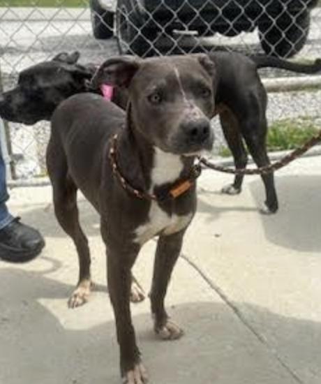 Charlotte thumbnail 3