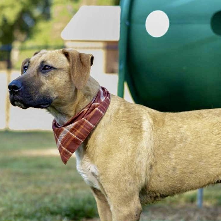 Newt - He Loves thumbnail 2