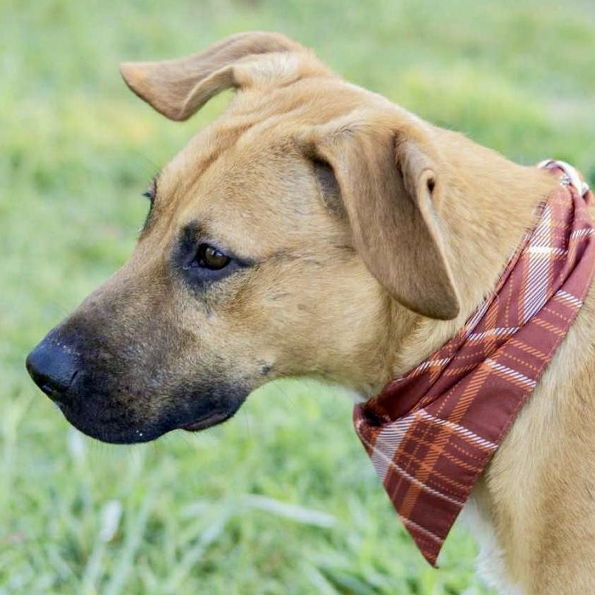 Newt - He Loves thumbnail 4