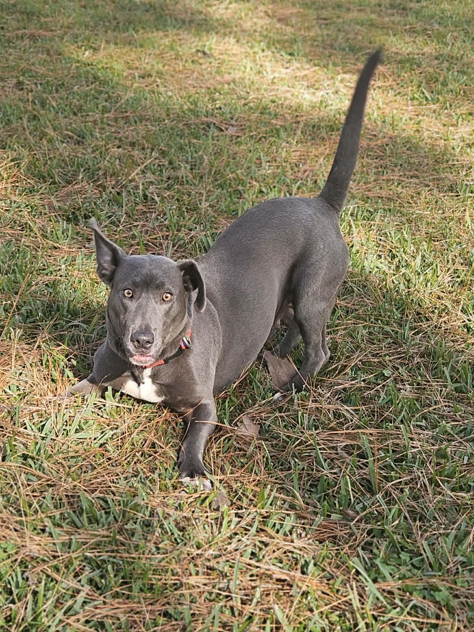 Luna Moon thumbnail 2