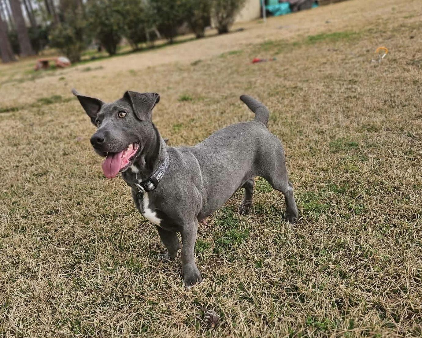 Luna Moon — thumbnail 2