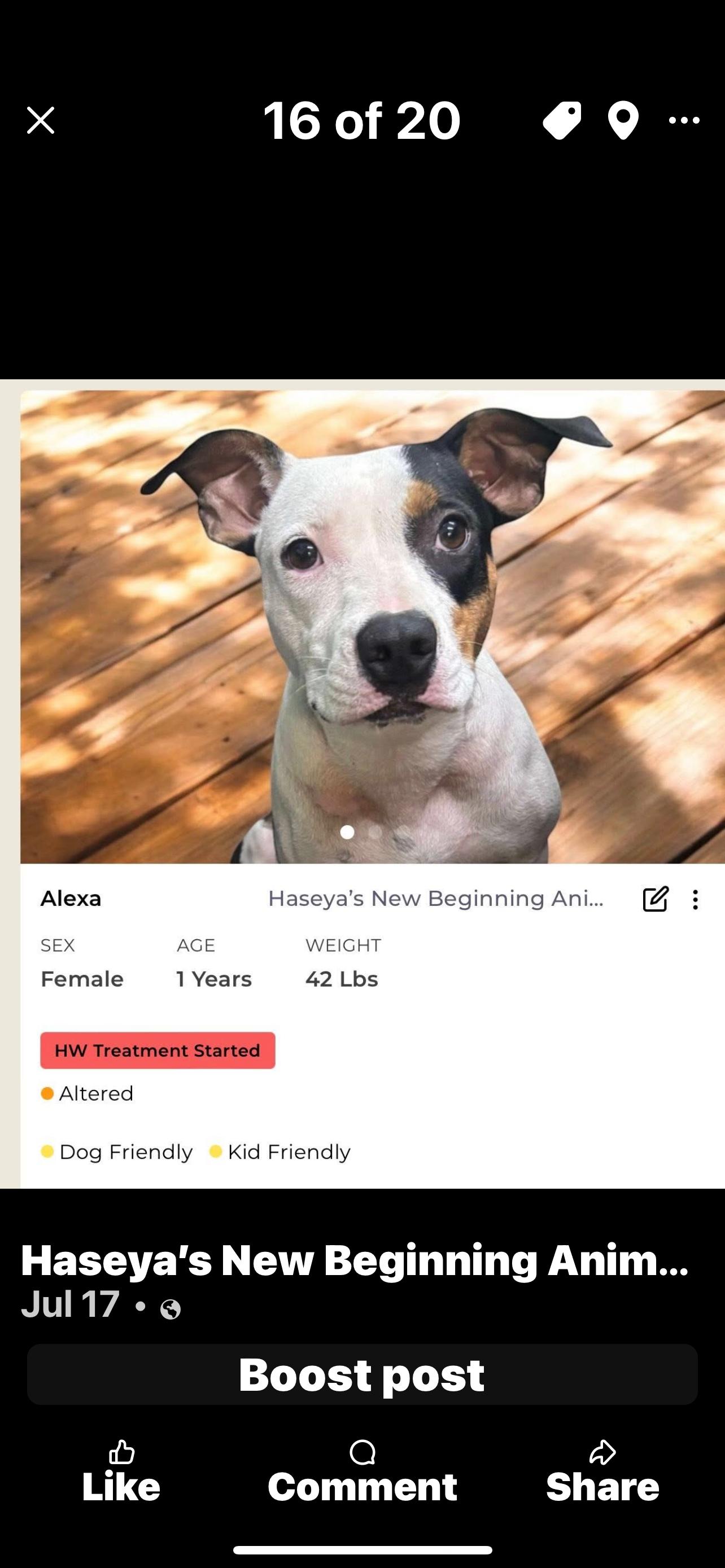 Alexa 3