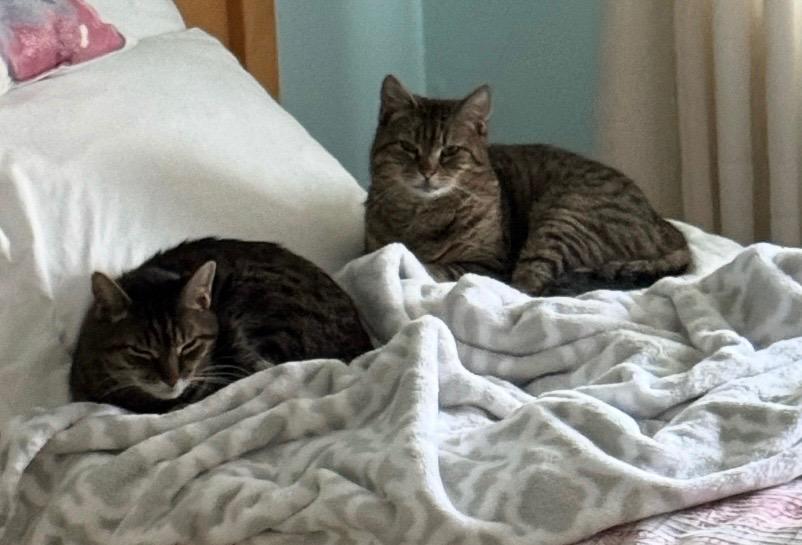 Edith — thumbnail 2