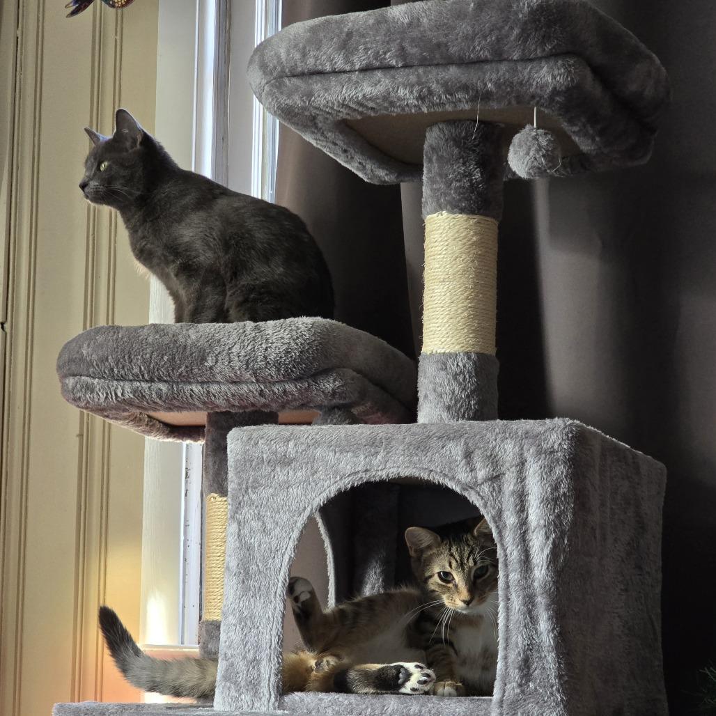 Lilly — thumbnail 2