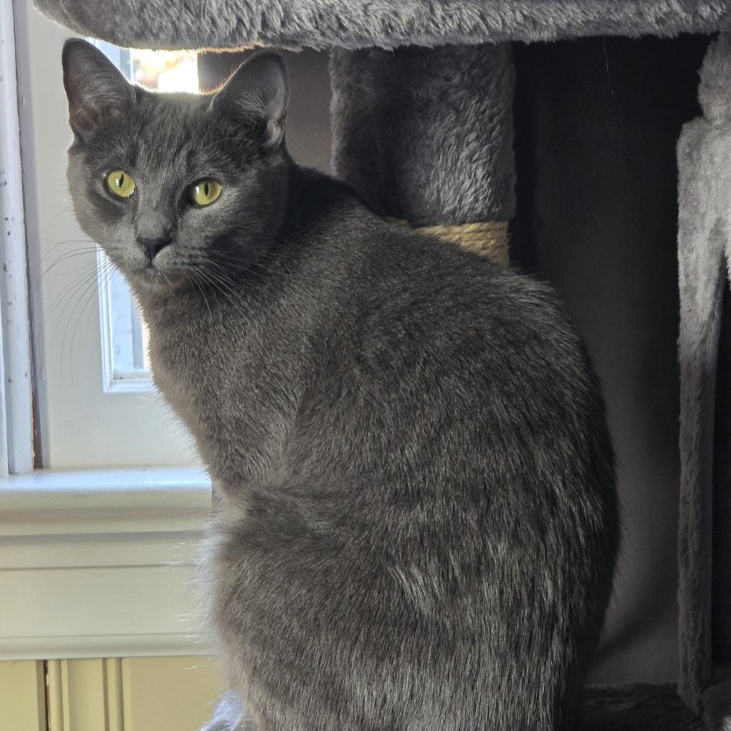 Lilly — thumbnail 3