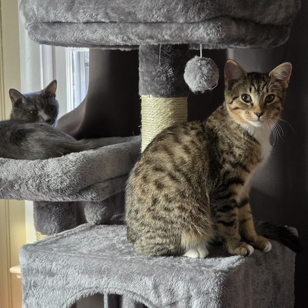 Lilly — thumbnail 5