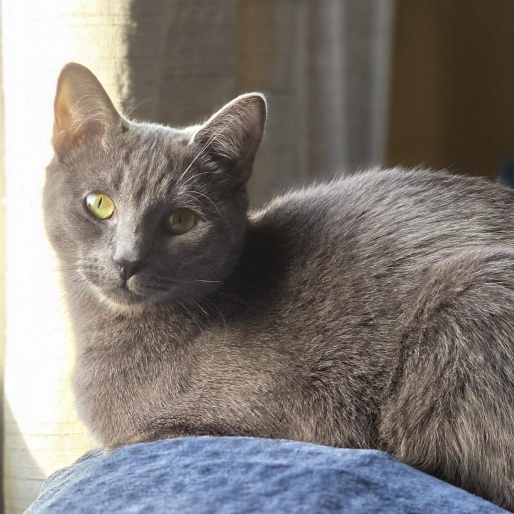 Lilly — thumbnail 6