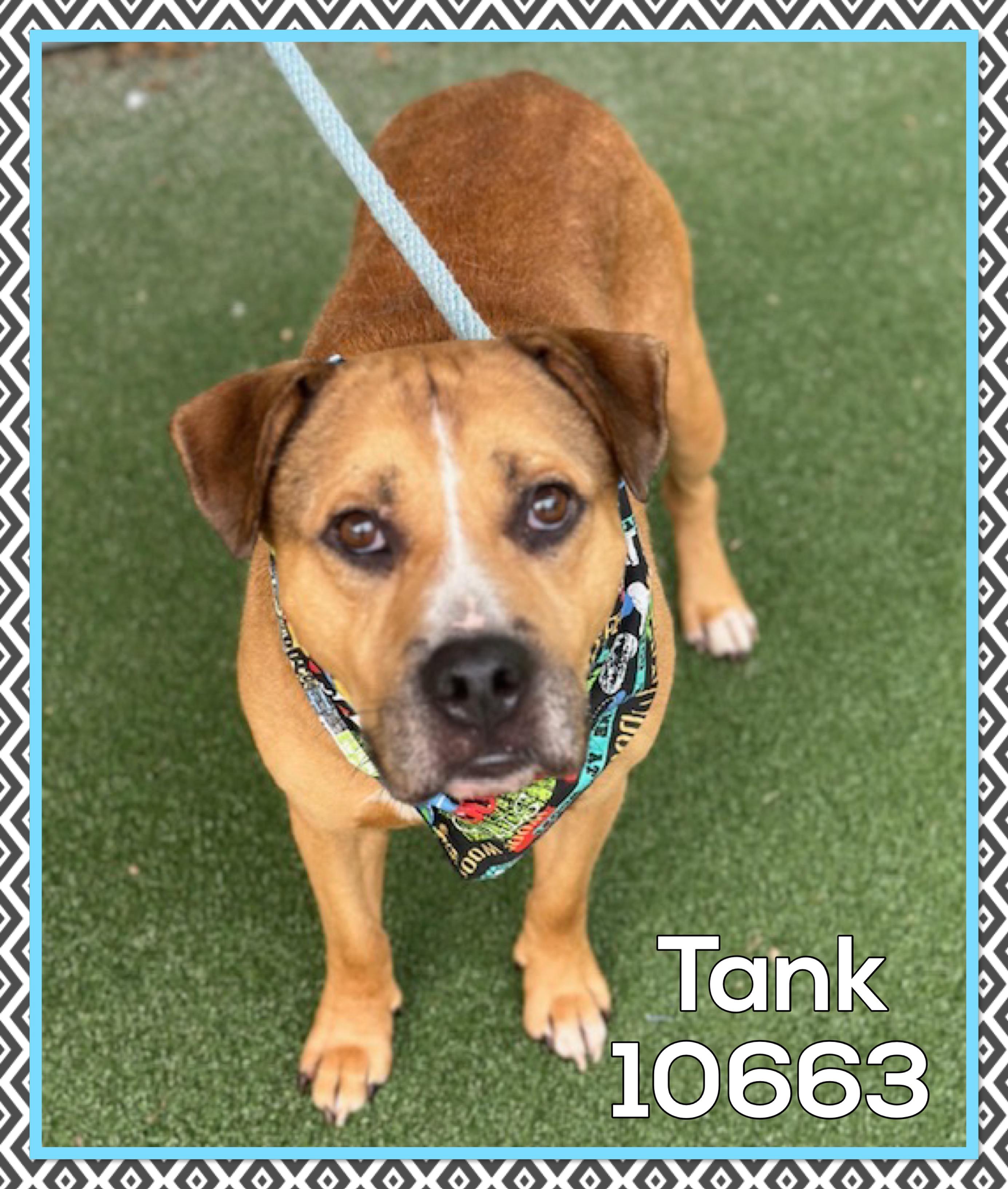 TANK