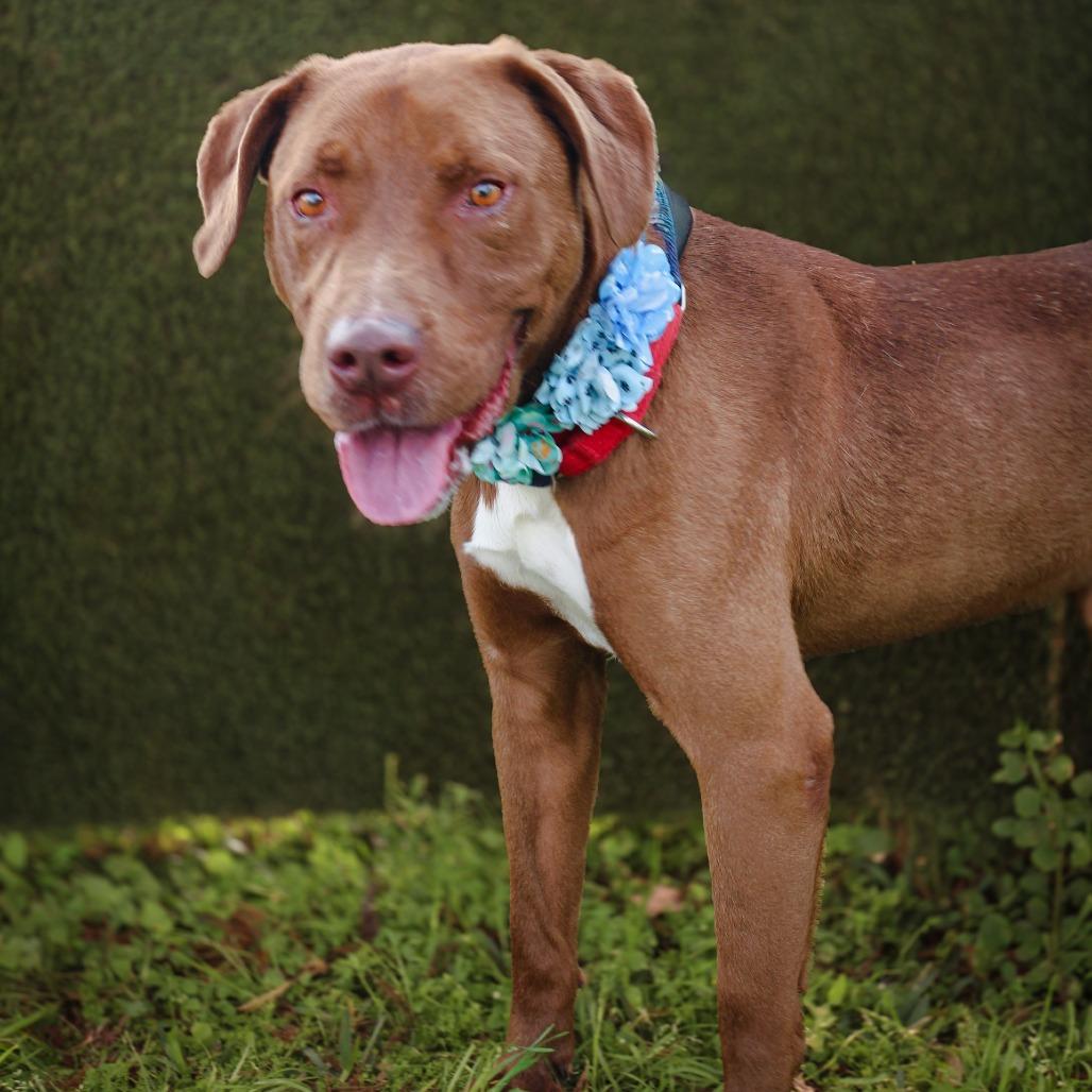 Jimbo — thumbnail 5