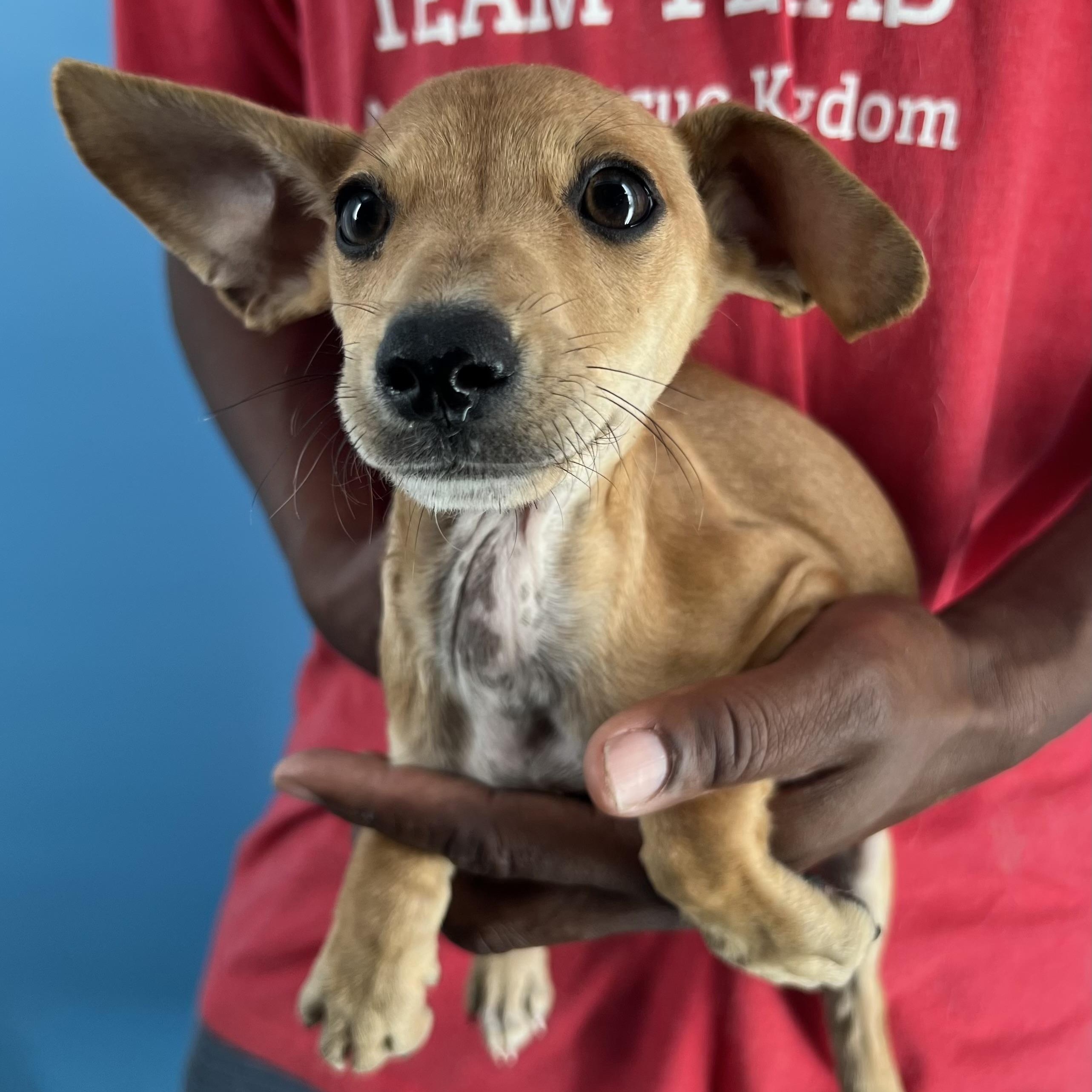 Allie  Local Oct thumbnail 4