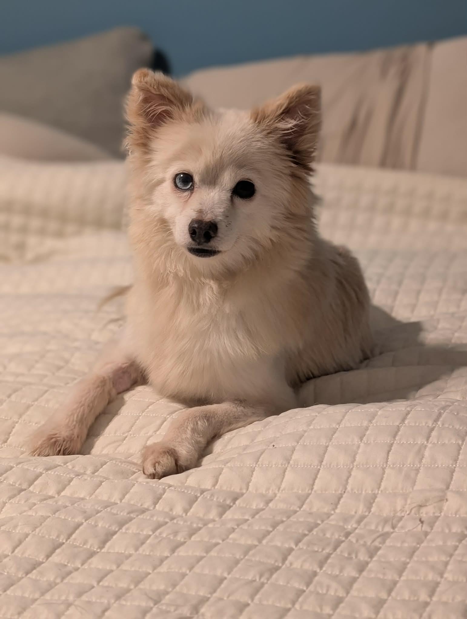 Zara — thumbnail 2