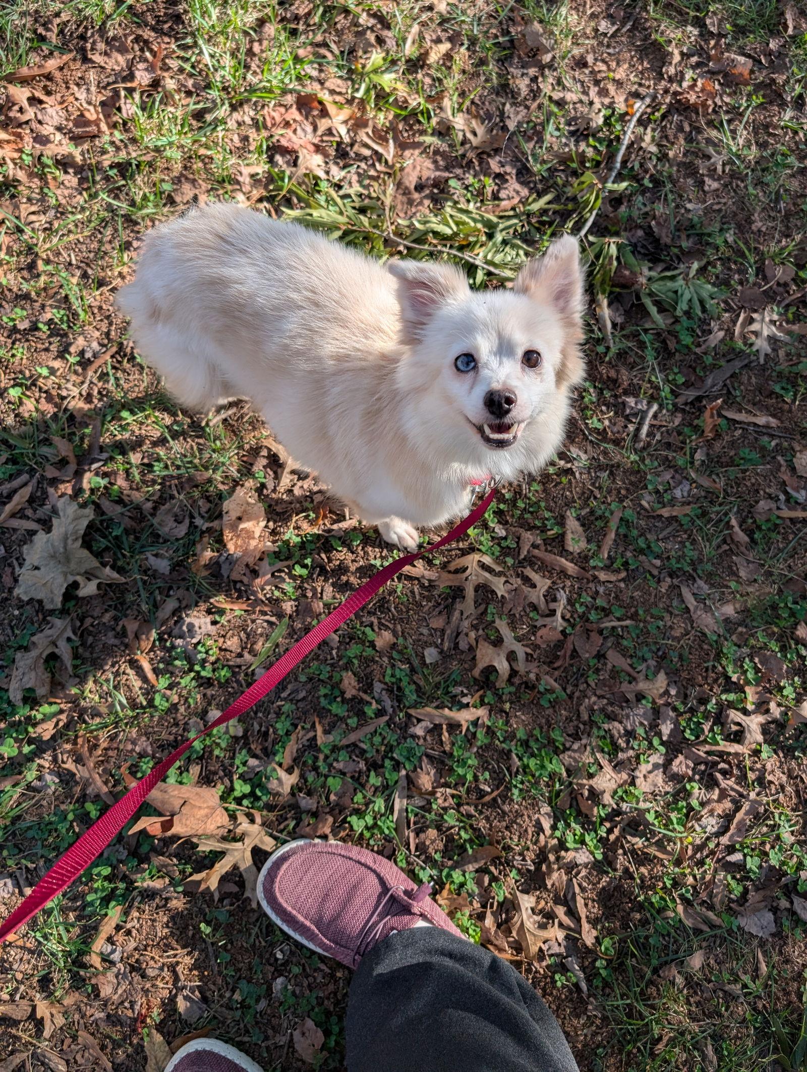 Zara — thumbnail 3