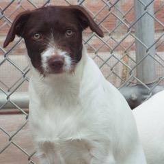 Snooky — thumbnail 2