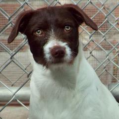 Snooky — thumbnail 3