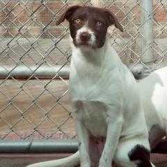 Snooky — thumbnail 4