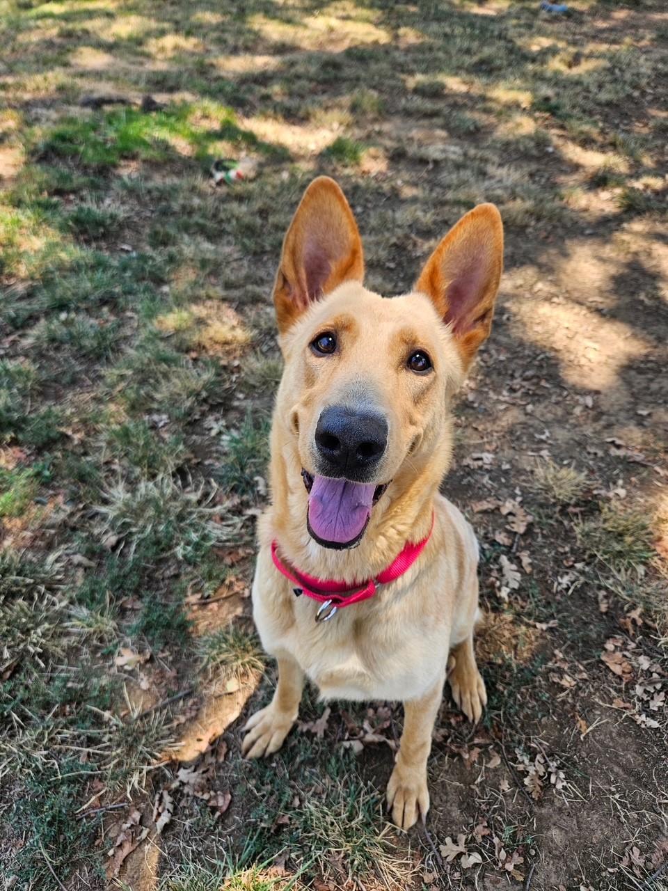 Mimi
