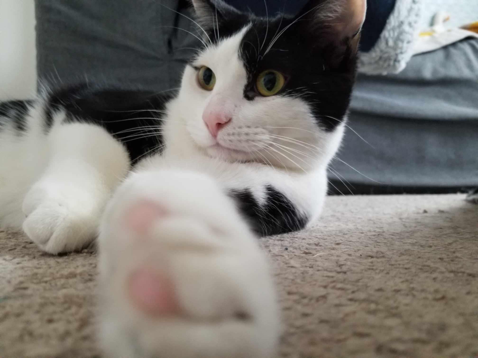 JEM