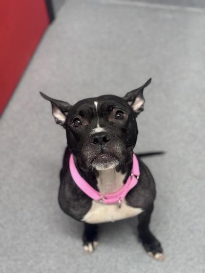 Nora — thumbnail 2