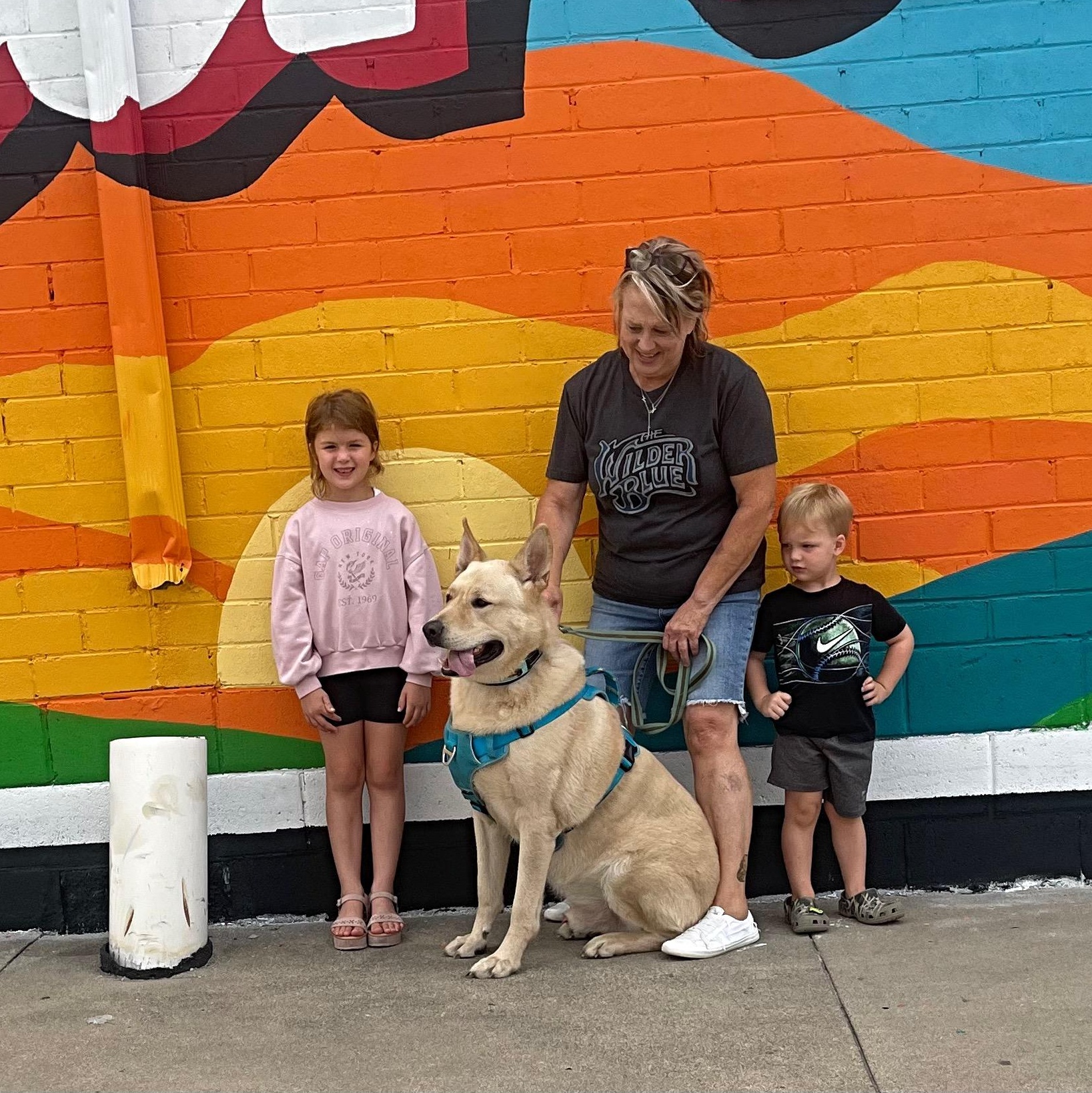 Bullett, a ADOPTABLE mixed breed in Wahoo, NE image 2/2