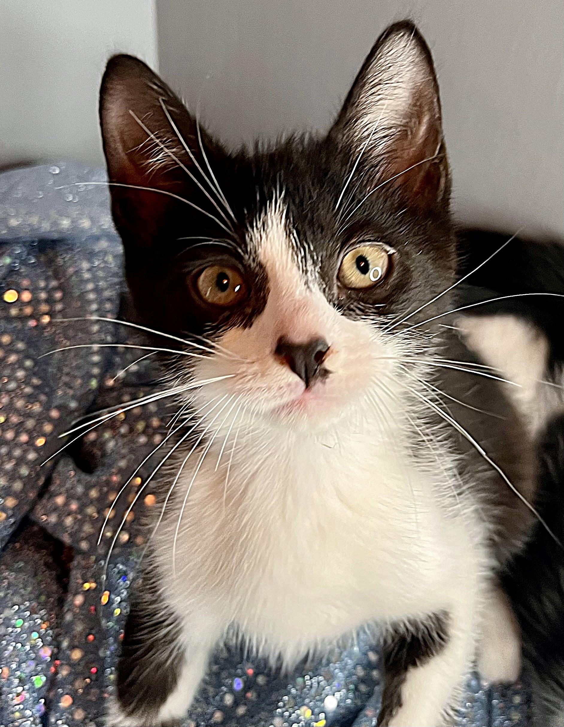 Smudge