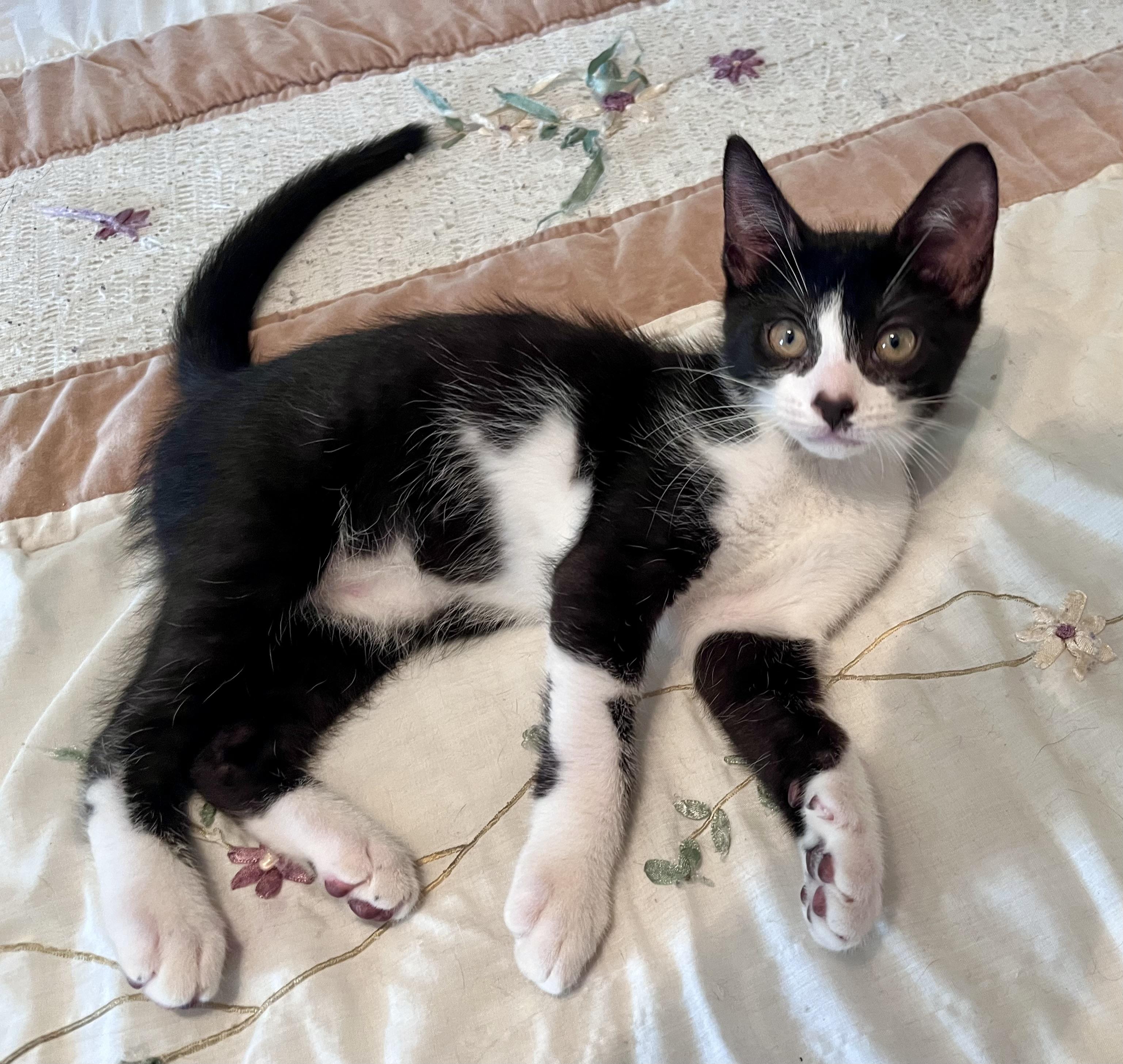 Smudge