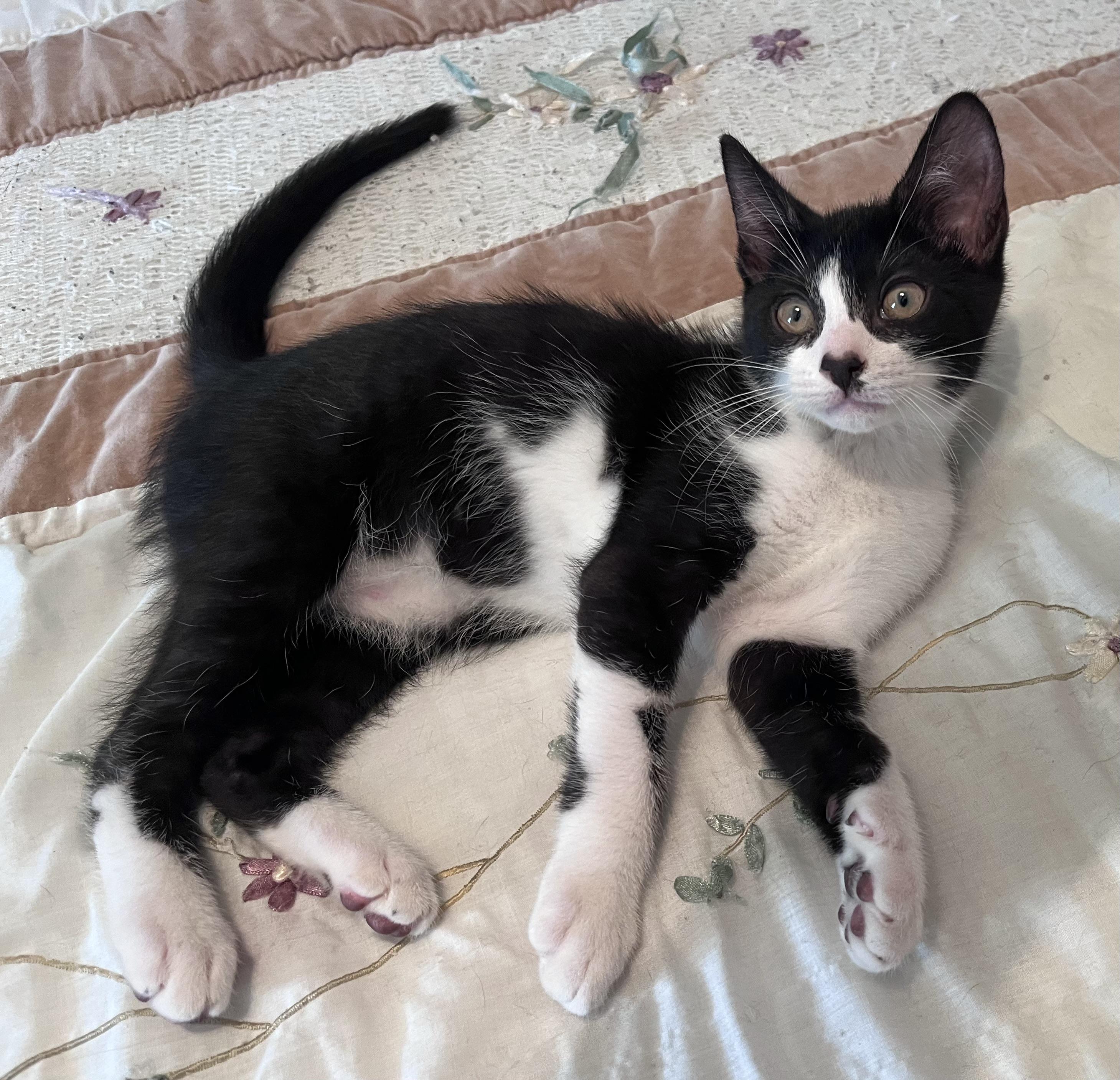 Smudge
