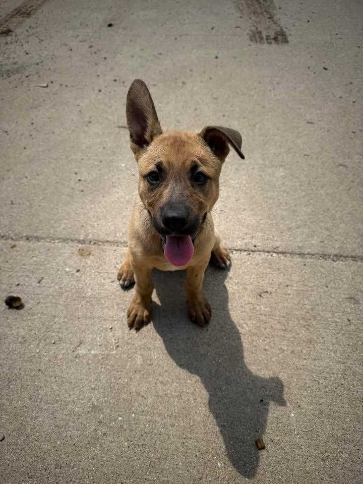 Coco