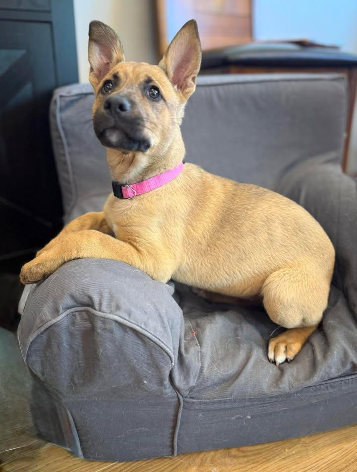 Coco 2