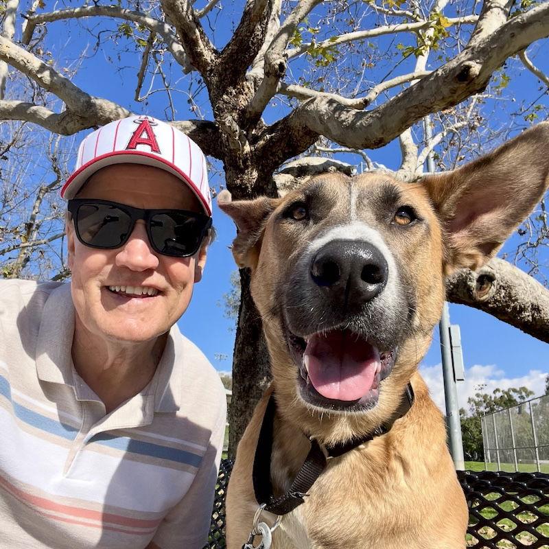 Enlarge Levi, a Adoptable German Shepherd Dog in San Juan Capistrano, CA image 2/3