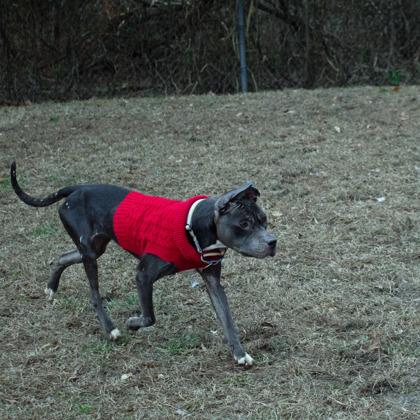 Tuti — thumbnail 2