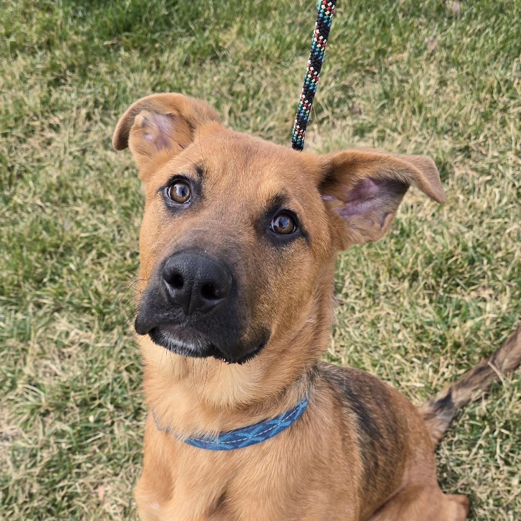 Elsie — thumbnail 4