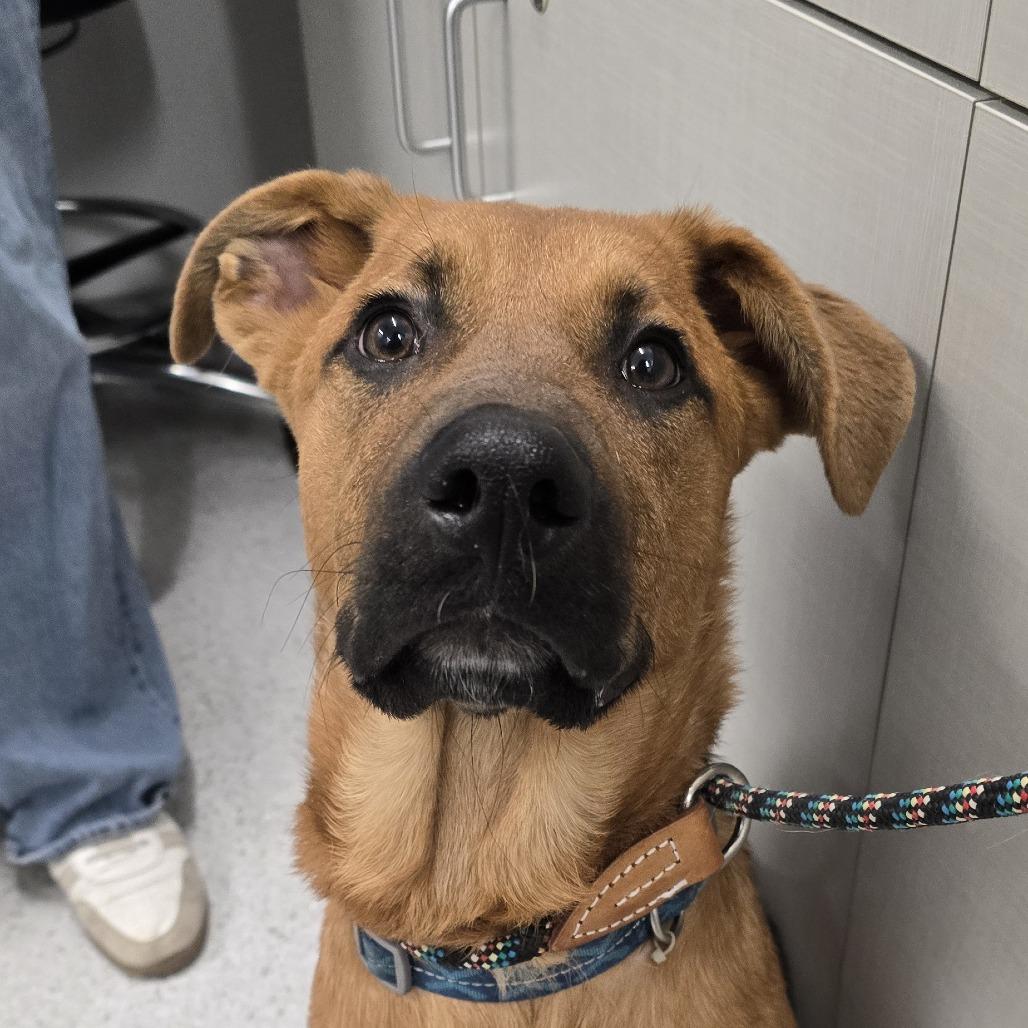 Elsie — thumbnail 5