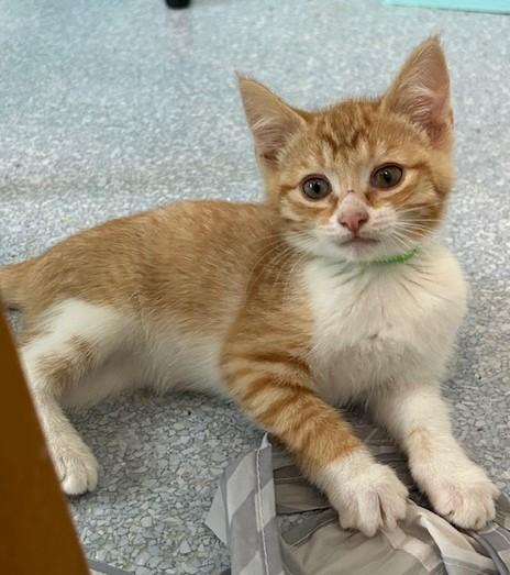 Steve - What a Cutie! photo 2