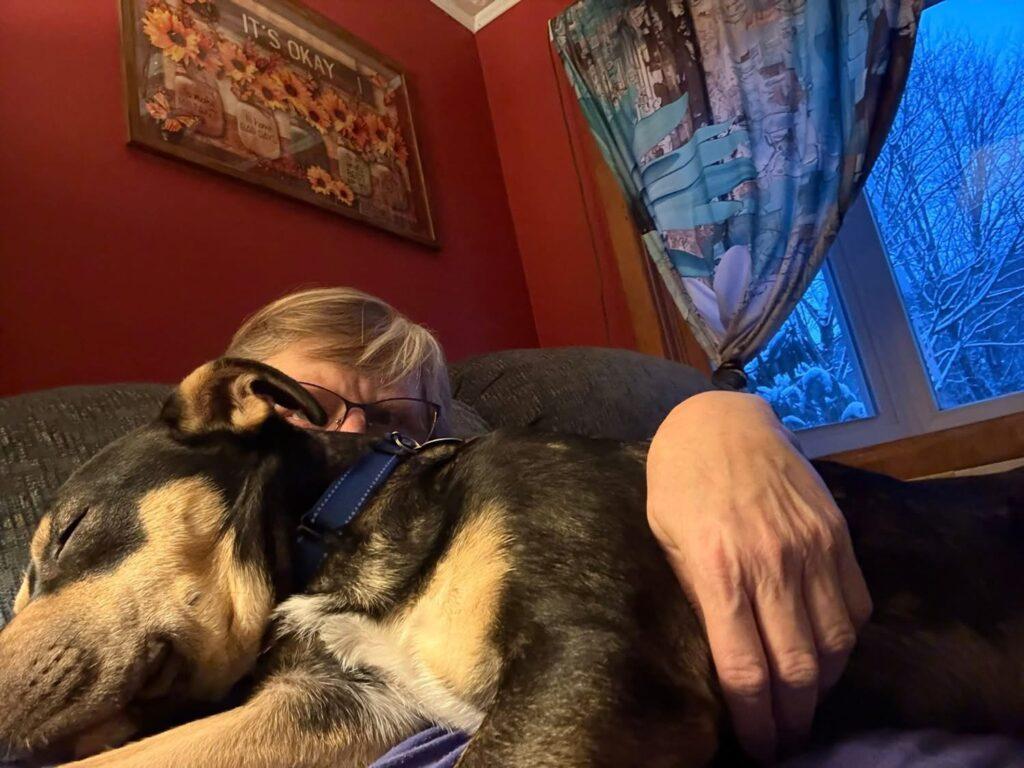 Rebel, a ADOPTABLE mixed breed in Red Hook, NY image 4/5