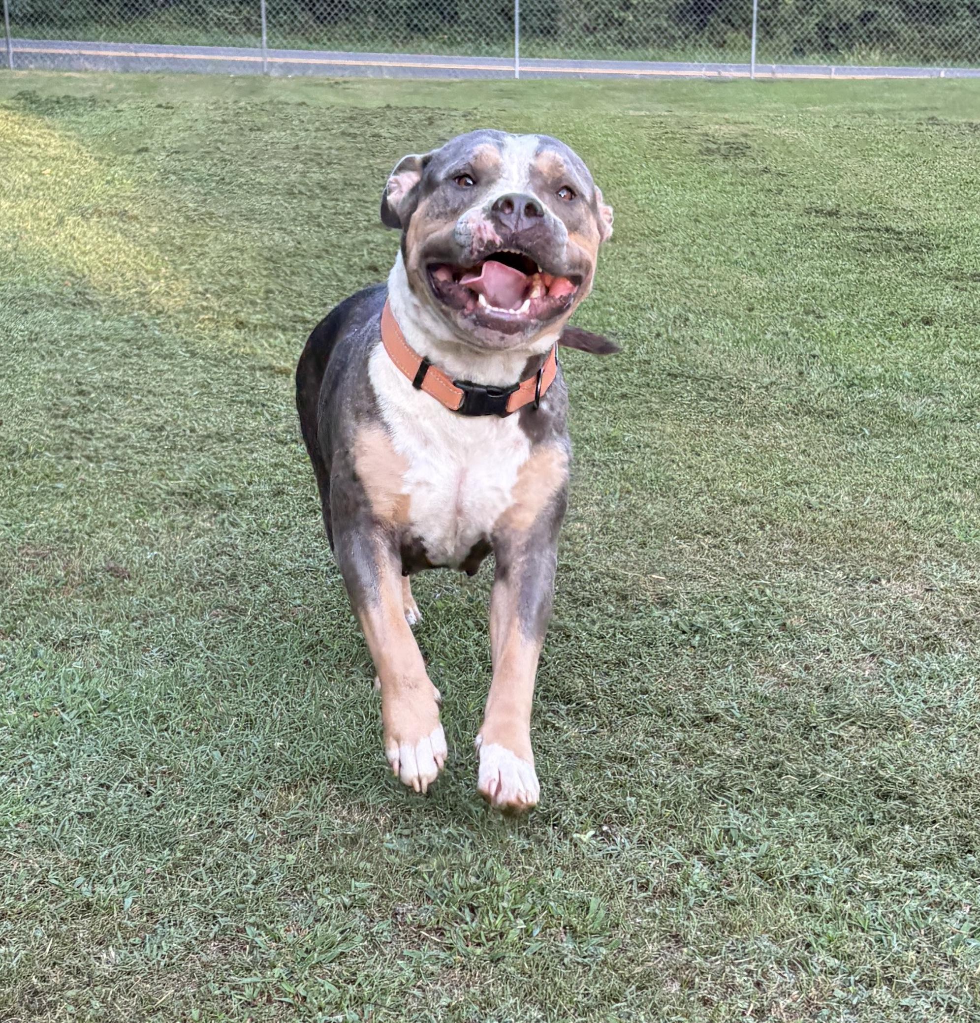 Sophie